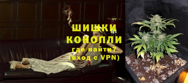 ПСИЛОЦИБИНОВЫЕ ГРИБЫ Нефтегорск