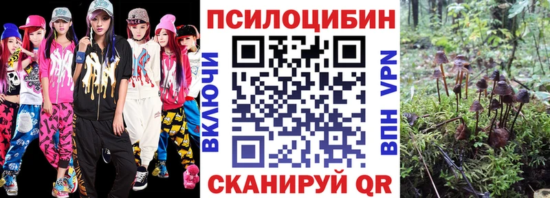 купить наркотики цена  Искитим  OMG как зайти  Псилоцибиновые грибы Cubensis 
