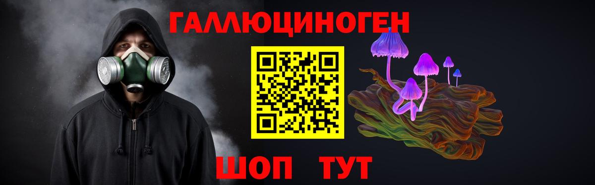 Галлюциногенные грибы мицелий Искитим